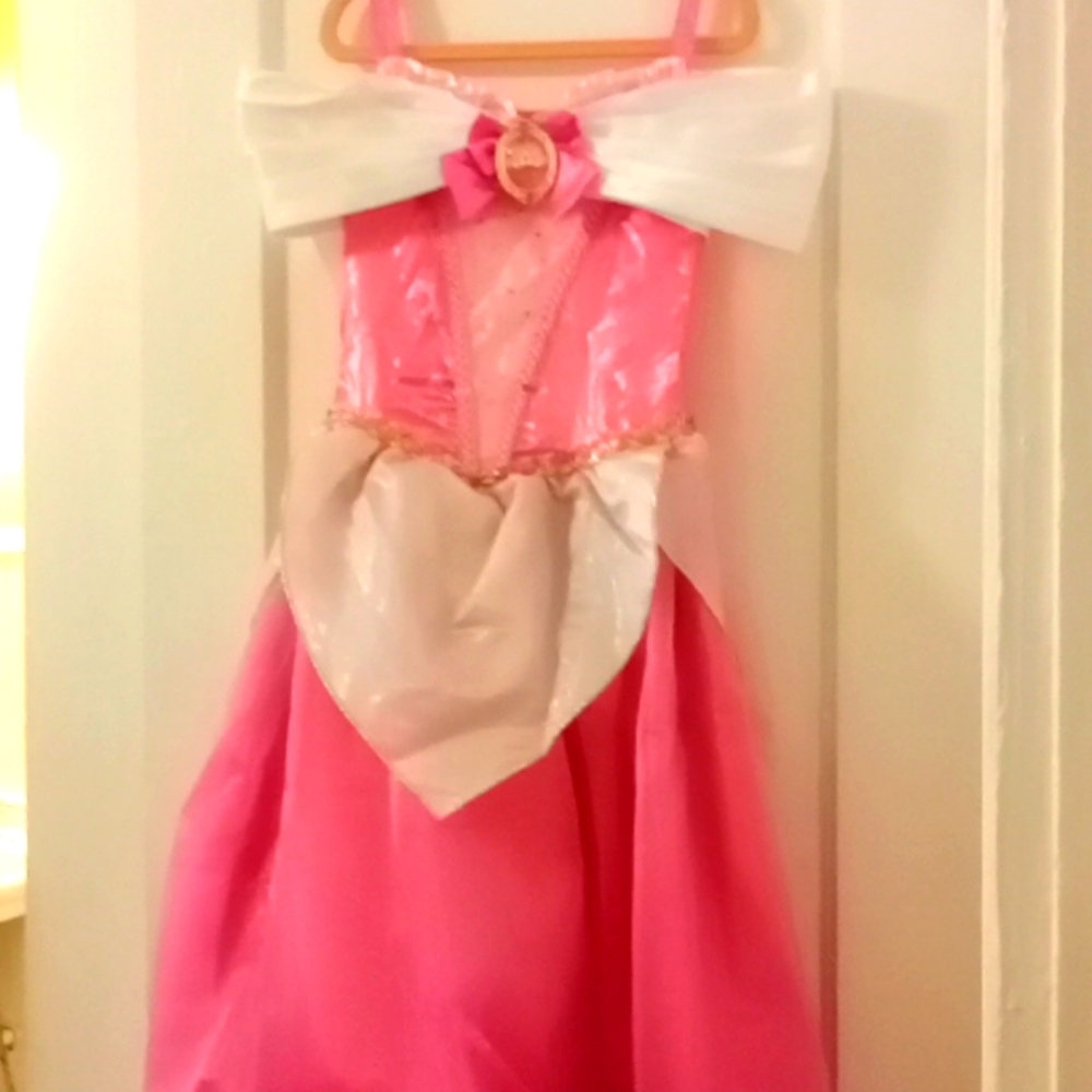 Sleeping Beauty Costume